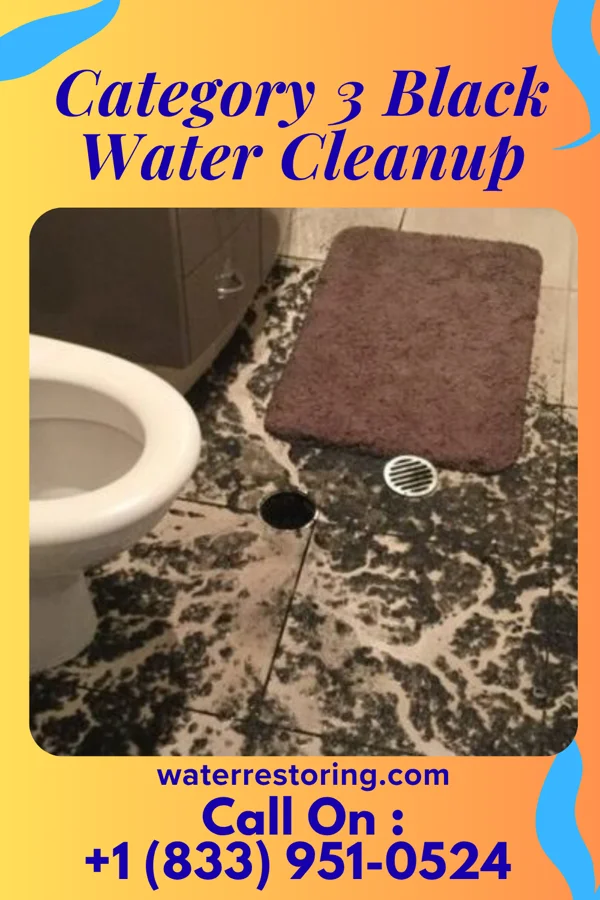 Category 3 Black Water Cleanup in Wind Point, WI