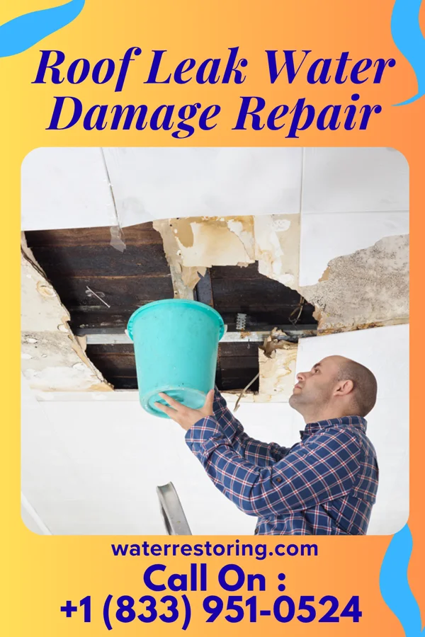 Roof Leak Water Damage Repair in Wind Point, WI